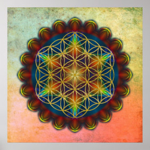 Póster FLOR DA VIDA / Blume des Lebens - Mandala III
