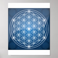 flor da vida geometria sagrada forma semente da vi