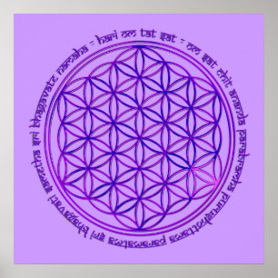 Póster Flor da vida - mantra de Moola - violeta