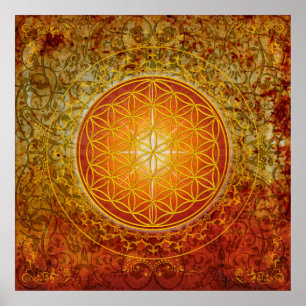 Poster Flor da Vida - Ornamento III
