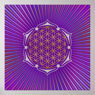 Póster Flor Da Vida - Ouro De Lotus Prata