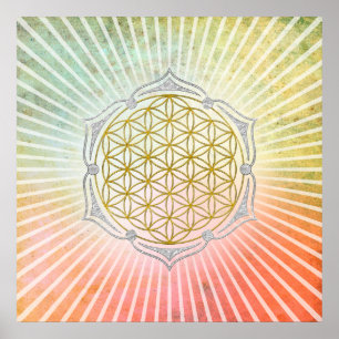 Póster Flor Da Vida - Ouro De Lotus Prata