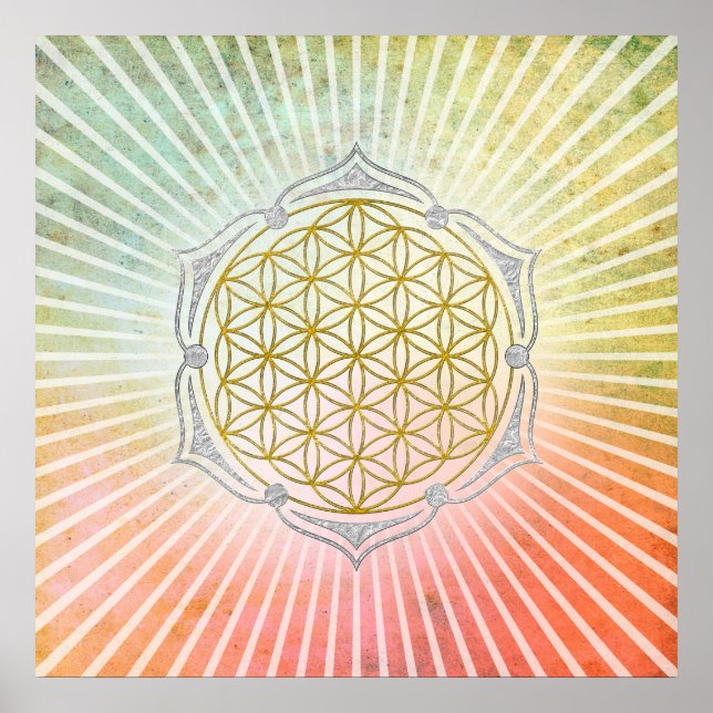 Póster Flor Da Vida - Ouro De Lotus Prata (Frente)