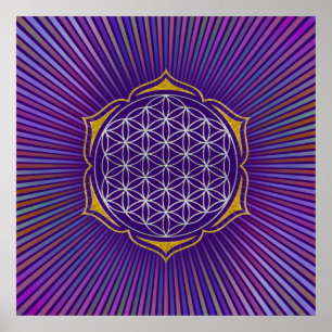 Póster Flor da Vida - Ouro de prata de Lotus