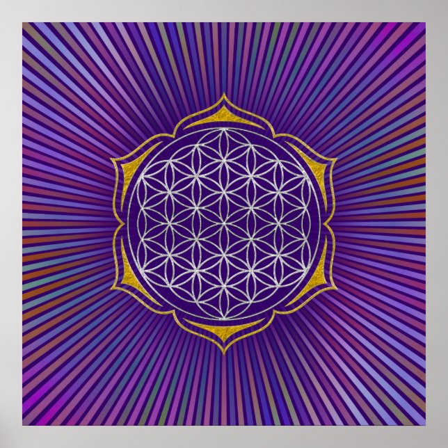 Póster Flor da Vida - Ouro de prata de Lotus (Frente)