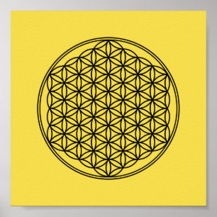 Poster Flor da vida - teste padrão