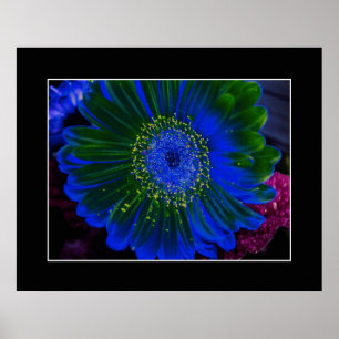 Póster Flor Dahlia Blue Abstrato