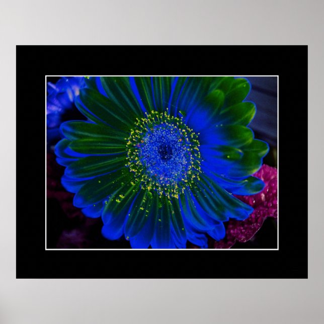 Póster Flor Dahlia Blue Abstrato (Frente)