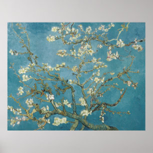 Poster Flor de Amêndoa de Van Gogh
