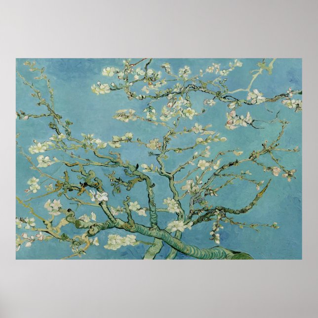 Poster Flor de amêndoa por Vincent Van Gogh (Frente)