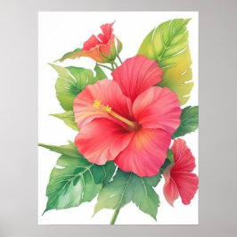 Poster Flor de Aquarela Rosa Hibiscus