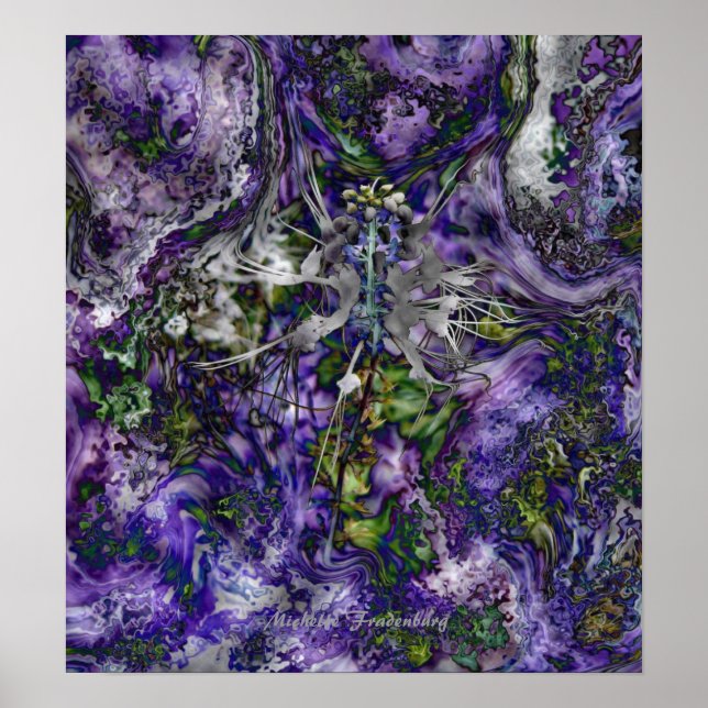 Poster Flor de Aranha (Frente)