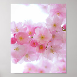 Poster Flor de árvore de cereja japonesa