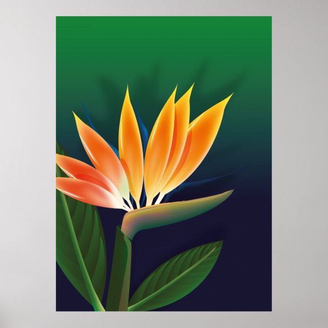 Poster Flor de ave do paraíso (Frente)