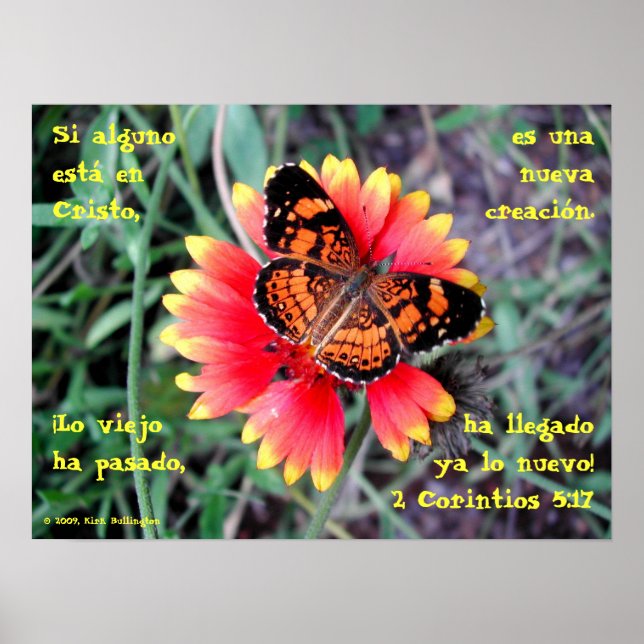 Poster Flor de Borboleta—2 Corintios 5:17 (Frente)