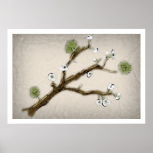 Poster Flor de cerejeira