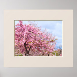 Poster Flor de cerejeira "Kawazu-Zakura" pôster