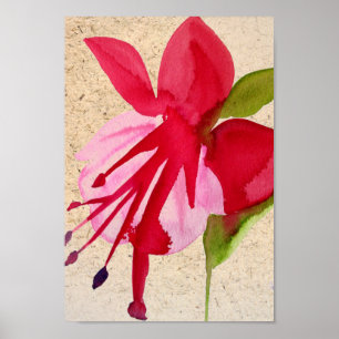 Póster Flor de cor da água rosa Fochsia pop art