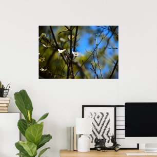 Poster Flor de Corniso,