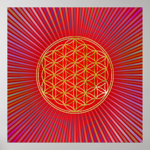 Poster Flor de DES Lebens da vida/Blume - ouro