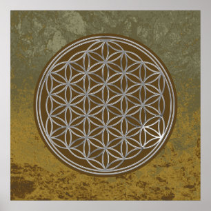 Póster Flor de DES Lebens da vida/Blume - PRATA