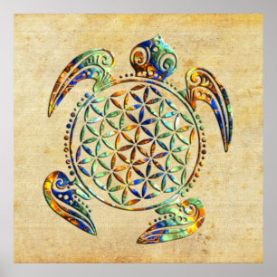 Poster Flor de DES Lebens da vida/Blume - tartaruga