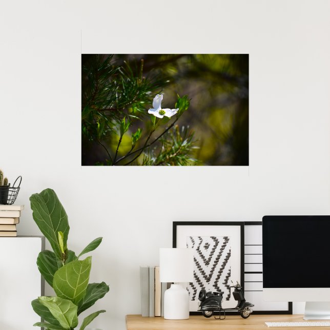 Poster Flor de Dogwood, (Escritório em casa)