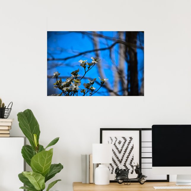Poster Flor de Dogwood, (Escritório em casa)