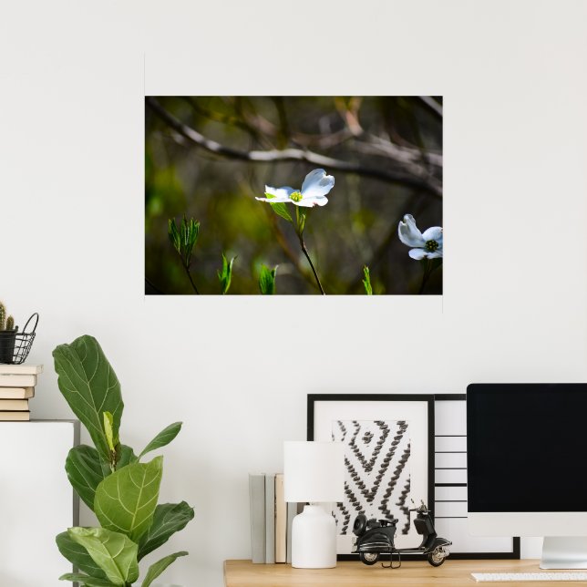 Poster Flor de Dogwood, (Escritório em casa)