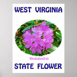 Póster Flor de estado de West Virginia, rododendro,