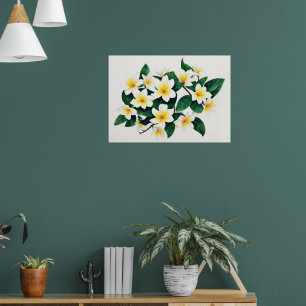 Poster Flor de Frangipani em Aquarela Branca e Amarela