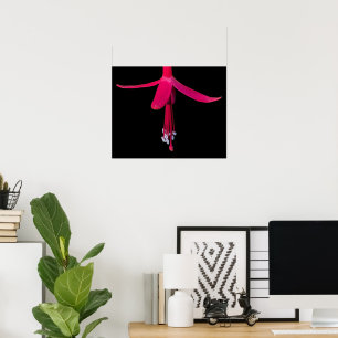 Poster Flor de fúcsia rosa brilhante sobre preto