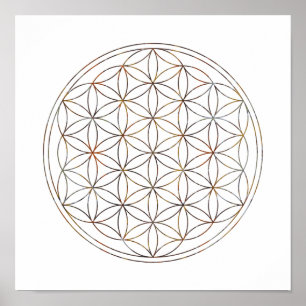 Póster Flor De Geometria Sagrada Da Vida (Elementos V)