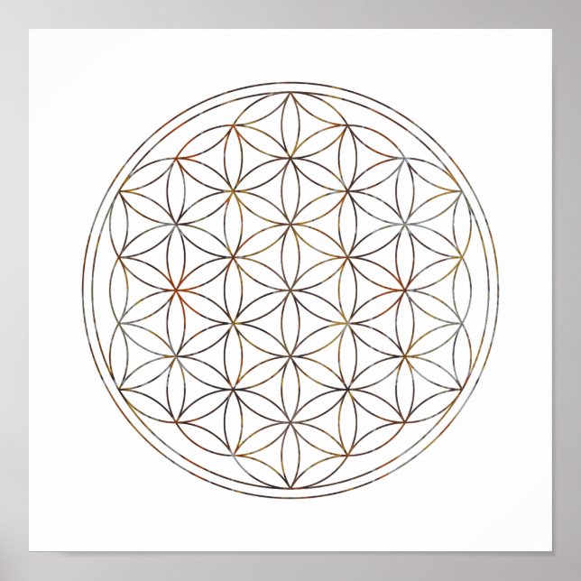 Póster Flor De Geometria Sagrada Da Vida (Elementos V) (Frente)