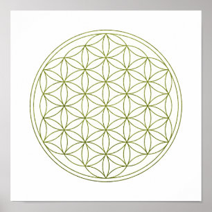 Póster Flor De Geometria Sagrada Da Vida (V-Prout)