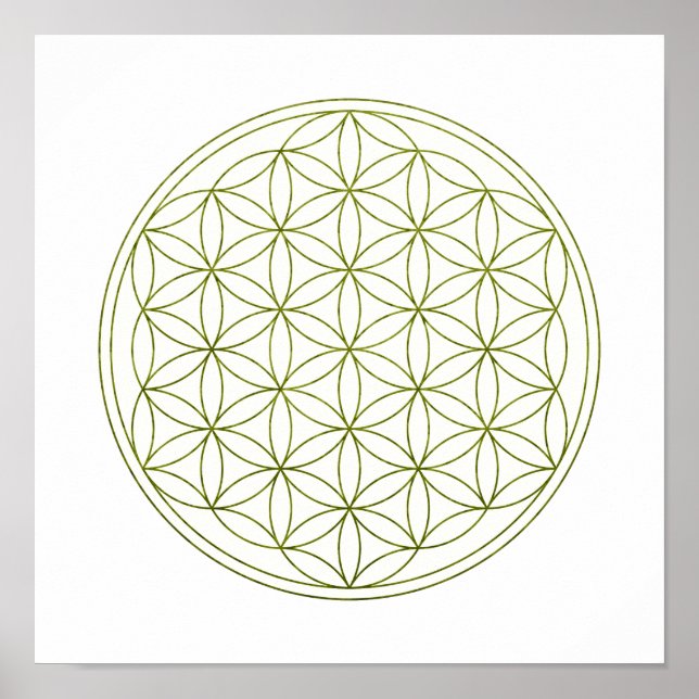Póster Flor De Geometria Sagrada Da Vida (V-Prout) (Frente)