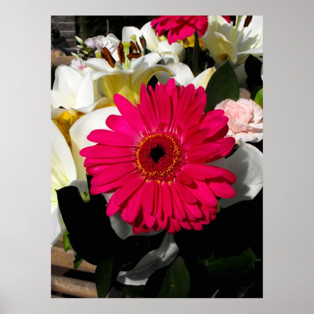 Póster Flor de Gerbera em um punhado de flores (Frente)