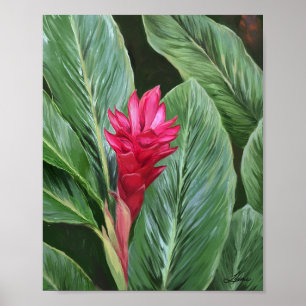 Poster Flor de Ginger Tropical