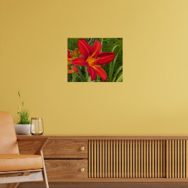 Poster Flor de Hemerocalis Laranja