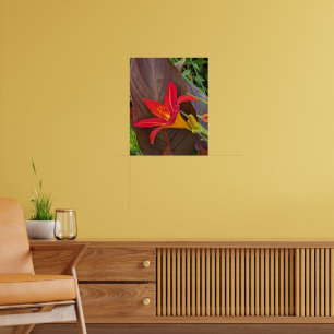 Poster Flor de Hemerocallis Laranja e Folha de Planta