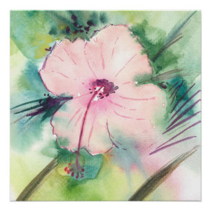 Póster Flor de Hibisco de Belize em Aquarela Pintada à Mã