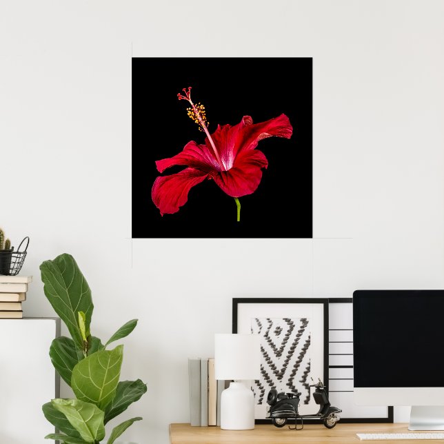 Póster Flor de Hibisco Vermelho do Paraíso Tropical & Pre (Escritório em casa)