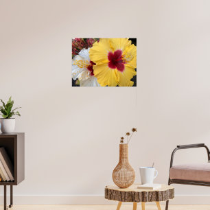 Poster Flor de Hibiscus Amarelo