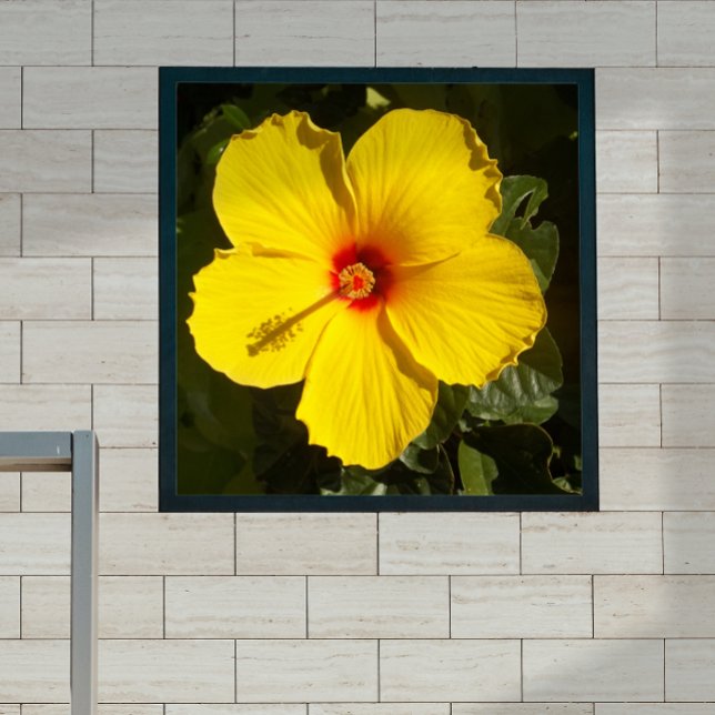 Poster Flor de Hibiscus Amarelo Pequeno (Criador carregado)