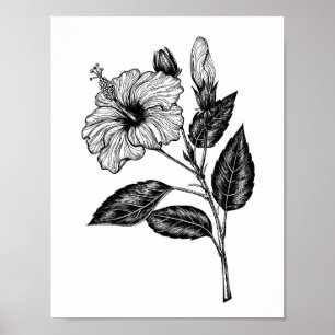 Poster Flor de Hibiscus III
