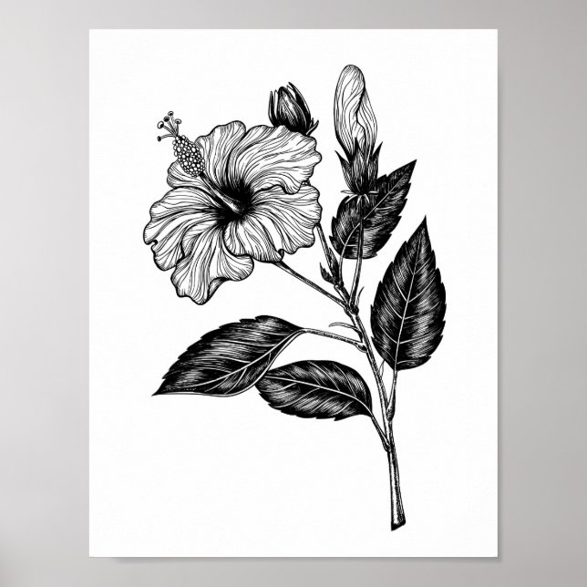 Poster Flor de Hibiscus III (Frente)