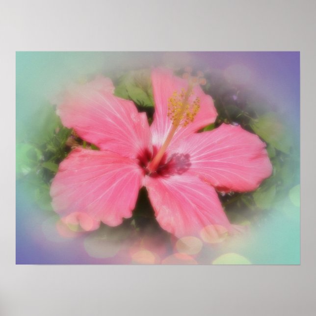 Poster Flor de Hibiscus Rosa (Frente)