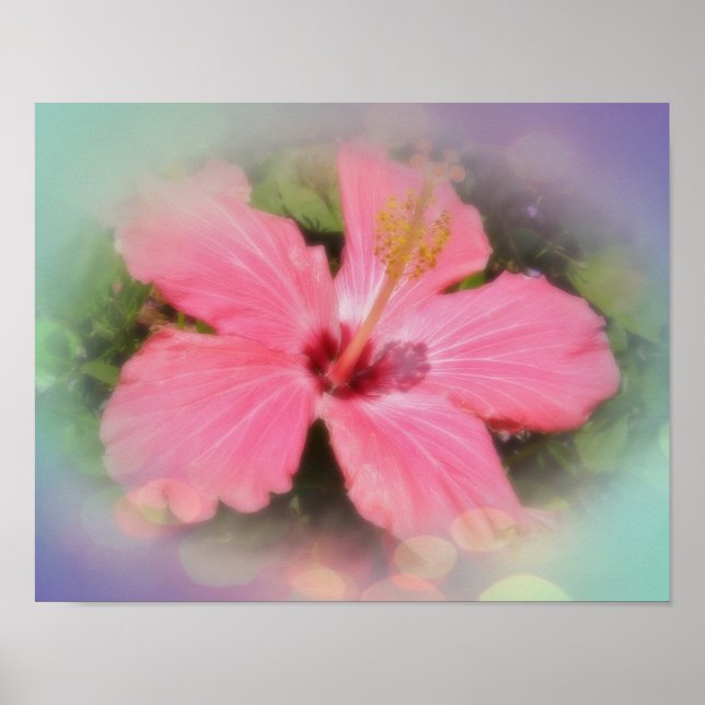 Poster Flor de Hibiscus Rosa (Frente)