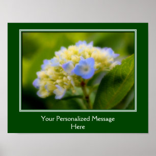Poster Flor de Hydrangea Azul Soft Personalizado