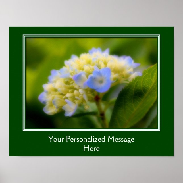 Poster Flor de Hydrangea Azul Soft Personalizado (Frente)